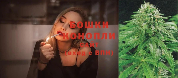 COCAINE Богородицк
