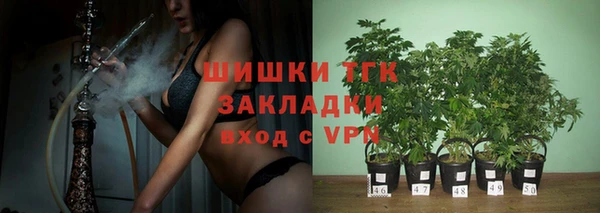 ГАЛЛЮЦИНОГЕННЫЕ ГРИБЫ Богданович