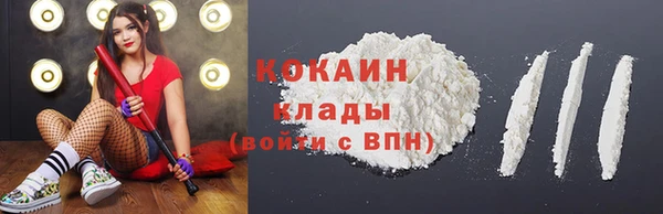 ГАЛЛЮЦИНОГЕННЫЕ ГРИБЫ Богданович