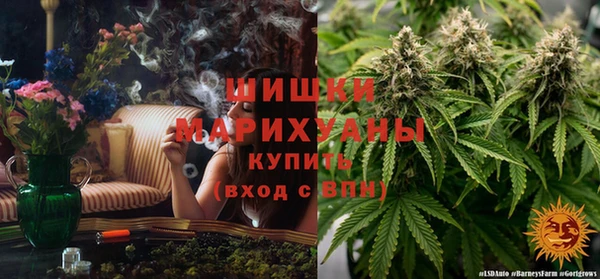 ГАЛЛЮЦИНОГЕННЫЕ ГРИБЫ Богданович