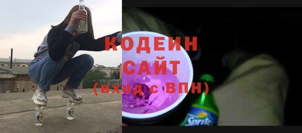 ГАЛЛЮЦИНОГЕННЫЕ ГРИБЫ Богданович