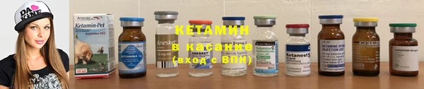 ГАЛЛЮЦИНОГЕННЫЕ ГРИБЫ Богданович