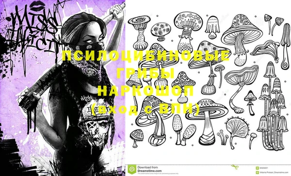 ГАЛЛЮЦИНОГЕННЫЕ ГРИБЫ Богданович