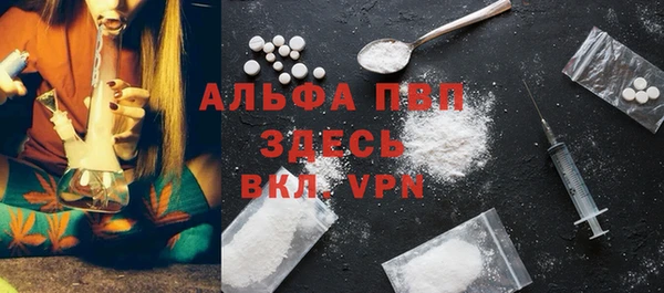 ГАЛЛЮЦИНОГЕННЫЕ ГРИБЫ Богданович