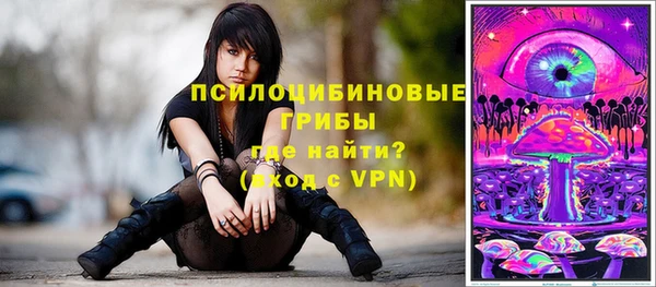 ГАЛЛЮЦИНОГЕННЫЕ ГРИБЫ Богданович