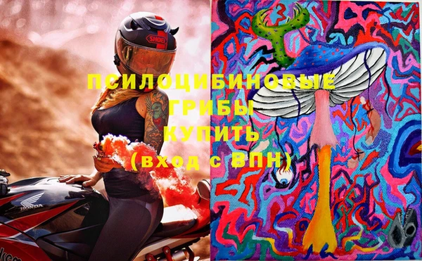 ГАЛЛЮЦИНОГЕННЫЕ ГРИБЫ Богданович