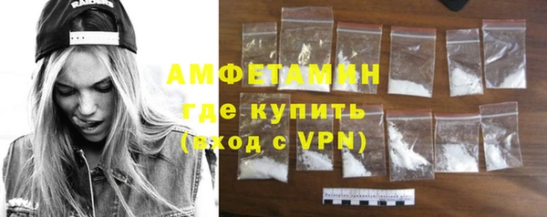 ГАЛЛЮЦИНОГЕННЫЕ ГРИБЫ Богданович