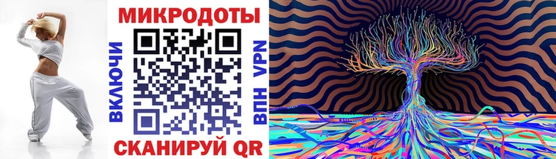 закладки  Томск  Галлюциногенные грибы Psilocybe 
