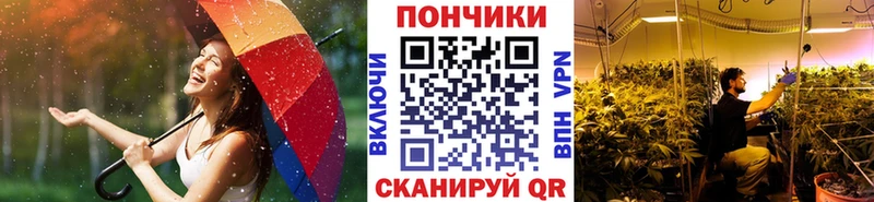 OMG зеркало  Томск  Канабис индика 